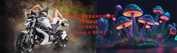 твердый Армянск