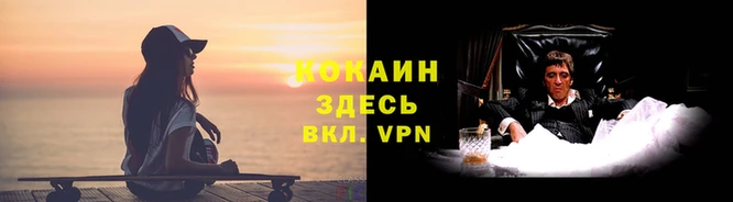 дурь Арсеньев