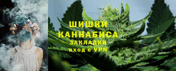 первитин Михайлов