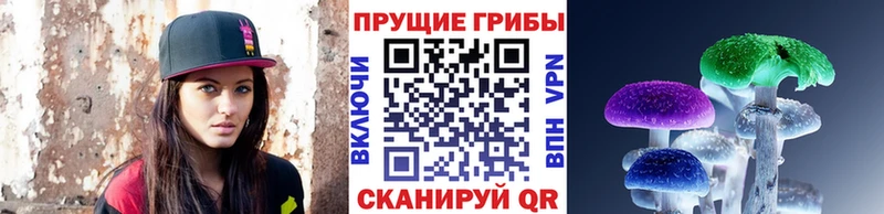Галлюциногенные грибы Magic Shrooms  Купить  Берёзовский 